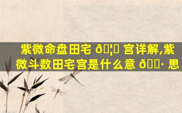 紫微命盘田宅 🦍 宫详解,紫微斗数田宅宫是什么意 🌷 思